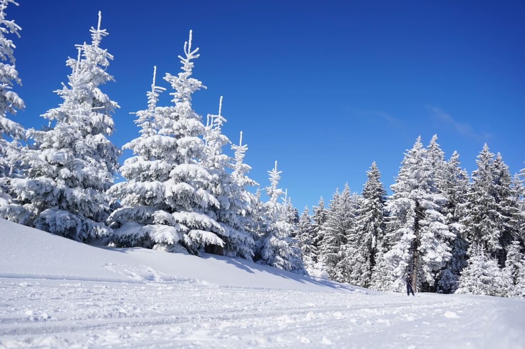 Hébergement artoustre Pyrénées 