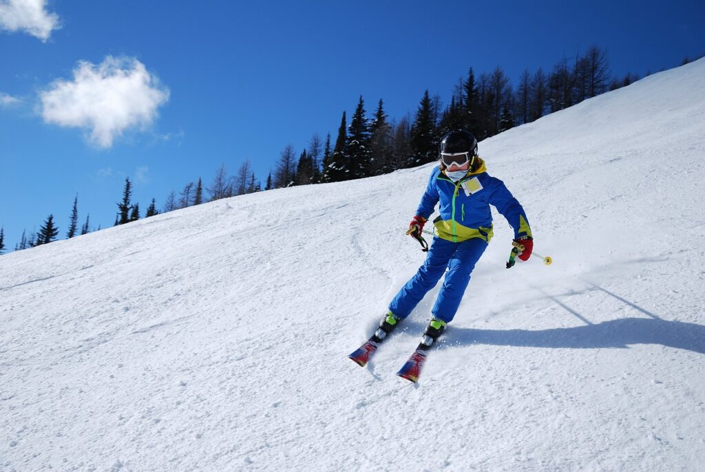 logement chastreix sancy