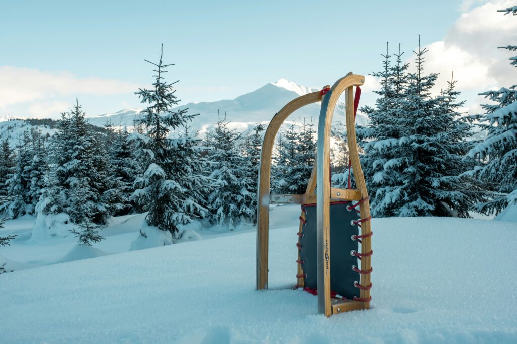 luge dans la neige