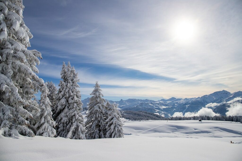 paysage recouvert de neige alpes